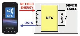NF4: po mostě od NFC do světa (1) 1